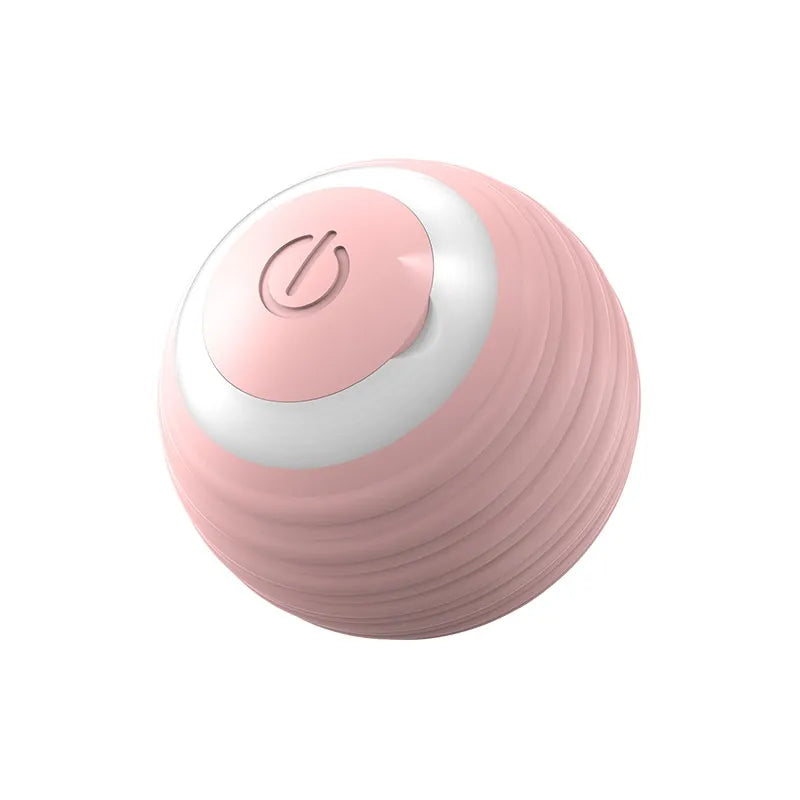 MYBUDDY SMART TOY!
