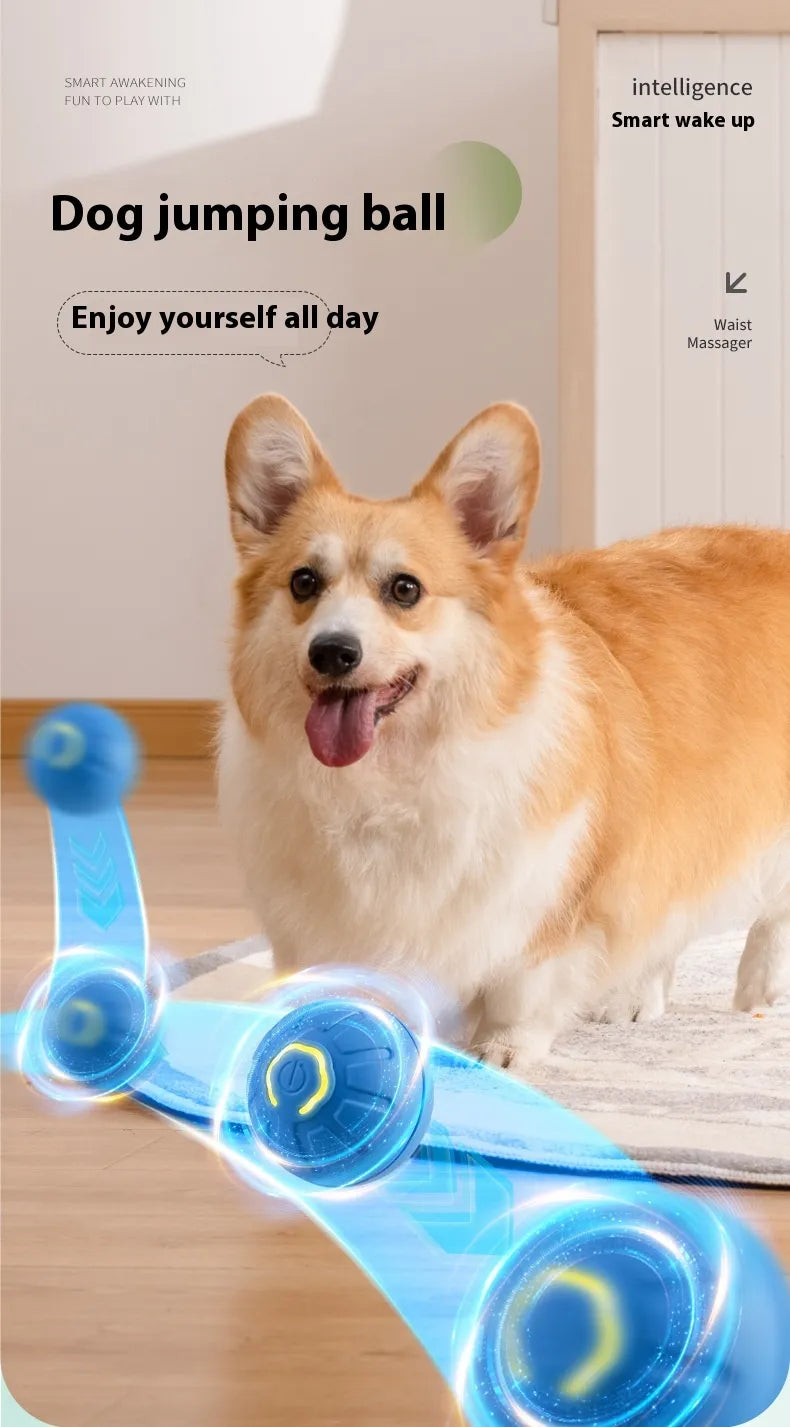 MYBUDDY SMART TOY!