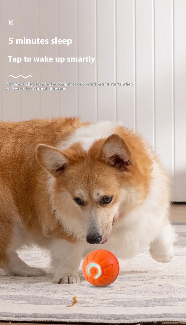 MYBUDDY SMART TOY!