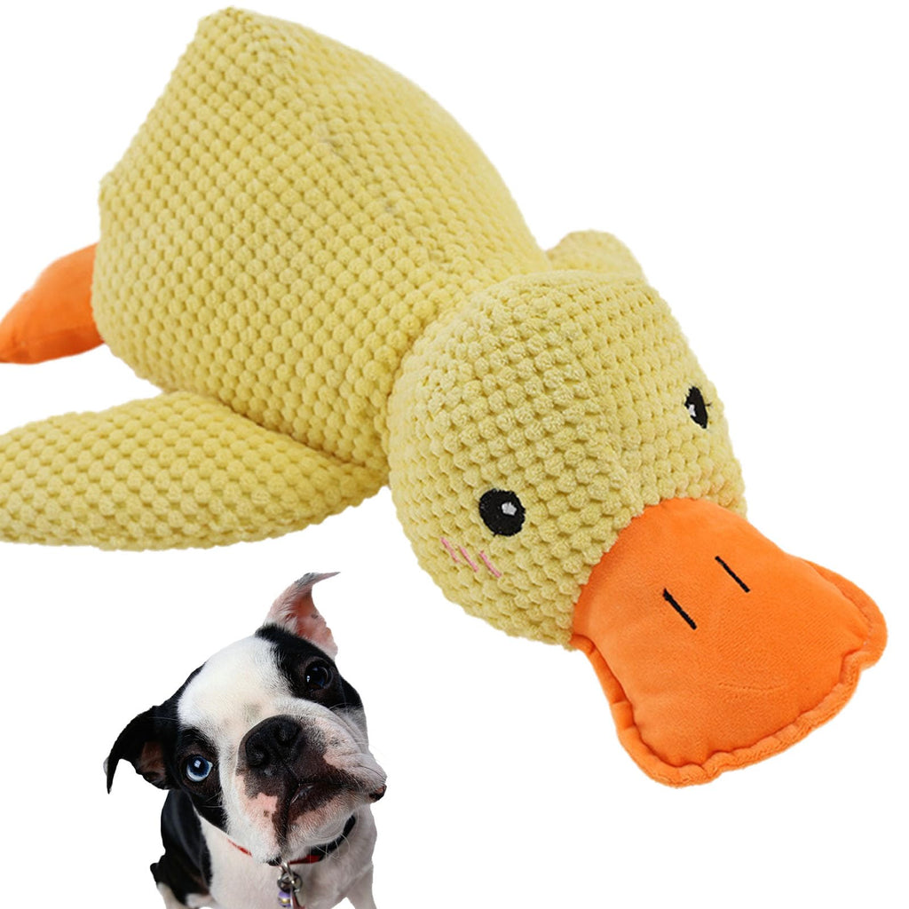 MYBUDDY Duck Buddy!