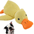 MYBUDDY Duck Buddy!
