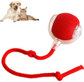 MYBUDDY SMART BALL