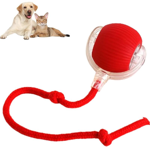 MYBUDDY SMART BALL