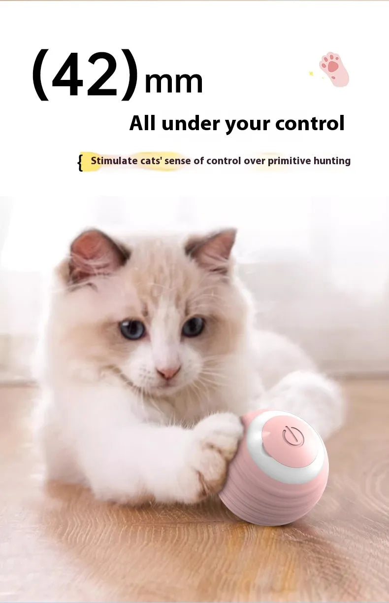 MYBUDDY SMART TOY!