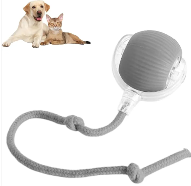 MYBUDDY SMART BALL