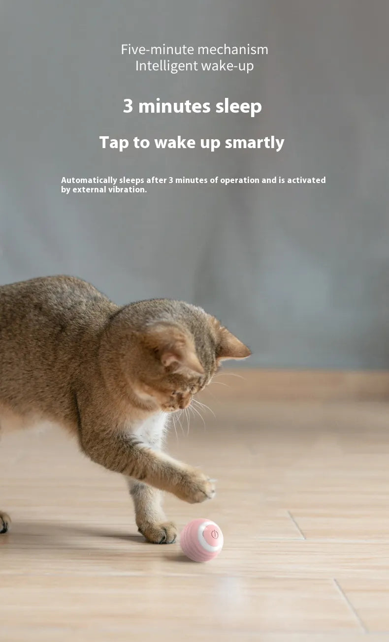 MYBUDDY SMART TOY!